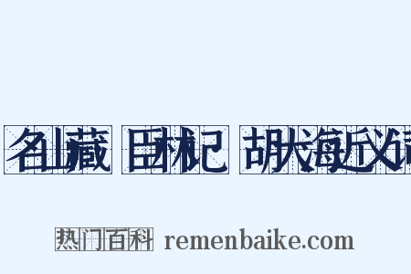 名山藏·臣林记·胡大海近义词是什么意思的图片
